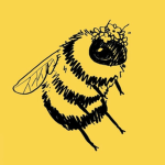 sweet bee fashion
