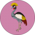 Air Commando Surplus