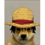 Diego Gang doge are cool