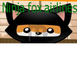 Ninja Fox Airlines