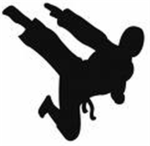 Ninja men