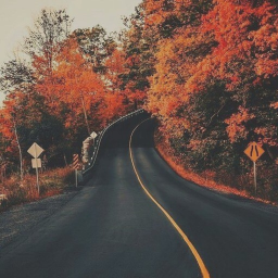 🍂