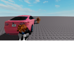 com no