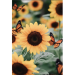 Aesthetic cute sunflowers