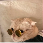 I have to go to the eye doctor