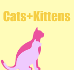 Cats + Kittens