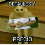 El ciber