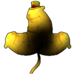 Golden Chover