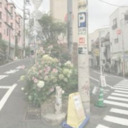 ✿