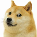 xDoge_Clanx