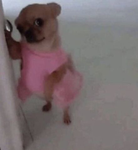 i made this group just for my friends