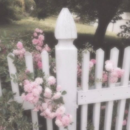 ⊂🌷⊃