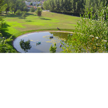 Parque Florestal Protegido 