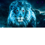 LionNation