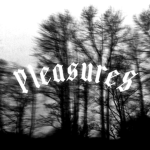 Pleasur3S