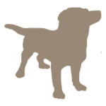 Canis Territory