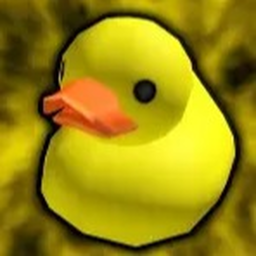 be a ducky in a home