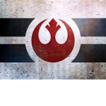 The Rebel Air Patrol