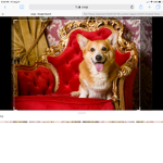 Empire of corgis