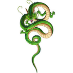 The Shenron Bois