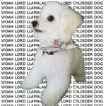 Lord Llamalaf & Lord Cylinder Dog