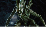 Xeno morphs United