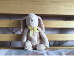 Bunny playz YT