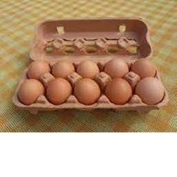 egg