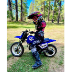 Dirt horse