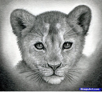 live life as a wild cat!
