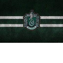WE HATE SLYTHERINS