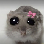 LE MON AMUR
