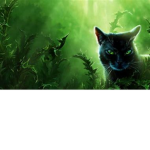Warrior Cats FireStar Fan Club