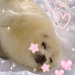 ྀིྀི