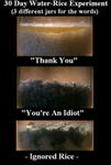 The Idiots_of_God