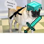 Minecraft pugs bois