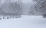 Snowstorm Studio Team