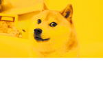 Doge dogs family