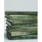 The Green beans_