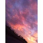Cotten