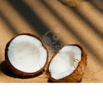 #Coconuts-Are-The-Best