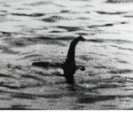 Finding Nessie Fan Club
