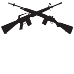 The sfg