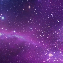 👻 Space Doge