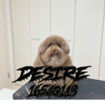 Desire!彡