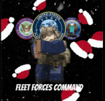 [VUSN] Fleet Forces Command
