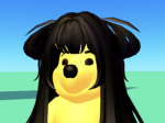 星之家族