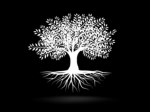 The family of the white trees
