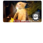 VidariAS
