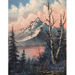 Sweetxmountains